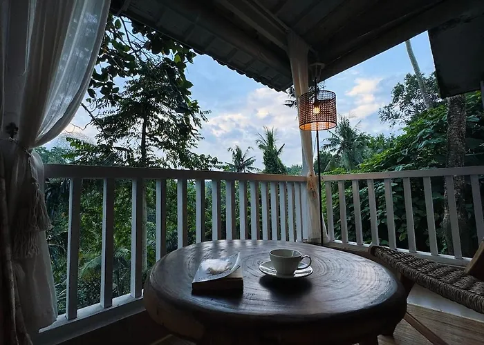 White Nest With Jungle View Hébergement de vacances