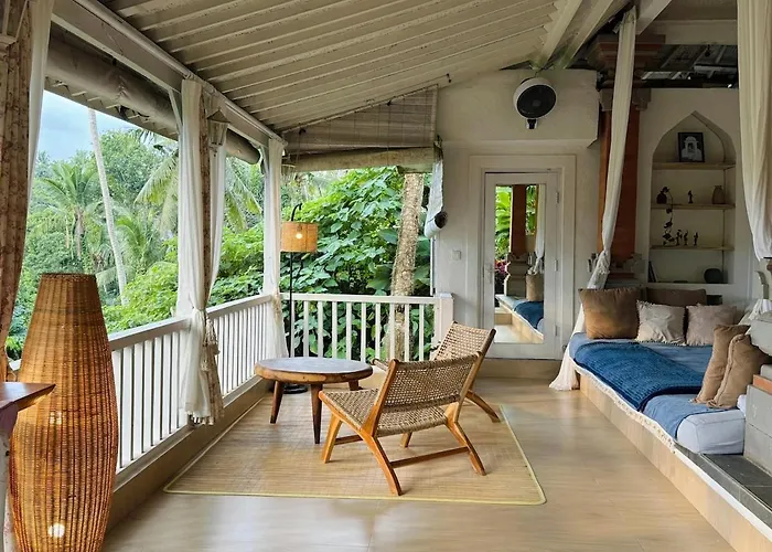 White Nest With Jungle View